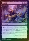 ��FOIL�ۡ����ۻͻ�����/Dismember[��U]��MM2��