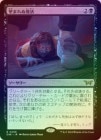 òʡǯ٥ޡFOILۡ˾ޤ/Come Back Wrong[R]DSKۢԲ