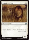 ۥХʡ饤/Savannah Lions[U]FDN