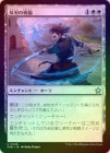��FOIL�ۡ������пϤν�ʡ/Twinblade Blessing[��U]��FDN��
