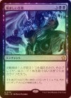 FOILۡˤޤ춭/Painful Quandary[R]FDN
