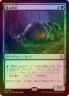 FOILۡ۵ť/Scavenging Ooze[R]FDN