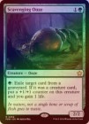 FOILۡڱѡ۵ť/Scavenging Ooze[R]FDN