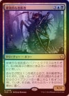 ��FOIL�ۡ������˲�Ū�ʰ�æ��/Consuming Aberration[¿��R]��FDN��