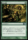 ۽Ģ/Autumn's Veil[U]M11