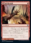 òʡEXʿδ/Spikefield Hazard[U]ZNR