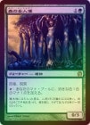 òʡEXFOILۡۿν/Sylvan Caryatid[R]THS