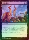 FOILۡۿԤγο/Faith of the Devoted[U]AKH