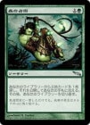 òʡVGۿ/Sylvan Scrying[WSU]MRD