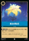 ˡβ[C] [ե]1ST