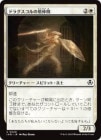 ۥɥ饰ν/Drogskol Shieldmate[C]INR