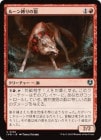 �����ۥ롼�������ϵ/Runebound Wolf[��U]��INR��