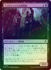 ��FOIL�ۡ����ۥե��륱��饹�ι����/Falkenrath Torturer[��C]��INR��