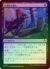��FOIL�ۡ��������Ū�ʲ��/Tragic Slip[��C]��INR��