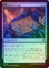 ��FOIL�ۡ����ۺ��Ź������/Soulcipher Board[��U]��INR��