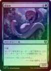 ��FOIL�ۡ����ۼ�ʤ�/Noose Constrictor[��U]��INR��