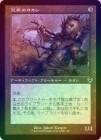 ��FOIL�ۡ����۹Ӹ��Υ�����/Wild-Field Scarecrow[̵��C]��INR��[����]
