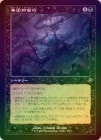 ��FOIL�ۡ����۽���Ū�ڹ�/Collective Brutality[��R]��INR��[����]