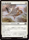 ꡹γ/Brightfield Glider[C]DFT