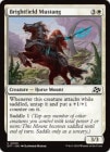 ڱѡ꡹/Brightfield Mustang[C]DFT