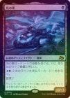 FOILۡۻμ/The Last Ride[MR]DFT