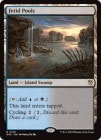 �ڱѡ۰۽�����/Fetid Pools[����R]��DRC��