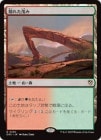 �����۱��줿�Ф�/Sheltered Thicket[����R]��DRC��