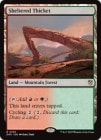�ڱѡ۱��줿�Ф�/Sheltered Thicket[����R]��DRC��