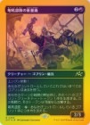 �ڥե������ȥץ쥤��FOIL�ۡ�������������ν��̵�/Howlsquad Heavy[��R]��DFT��