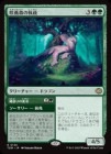 �����ۺ��տ��μ���/Bloomvine Regent[��R]��TDM��