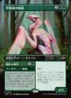 �����ۺ��տ��μ���/Bloomvine Regent[��R]��TDM��[�ܡ������쥹]