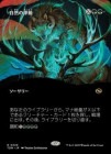 �����ۼ�����Χư/Nature's Rhythm[��R]��TDM��[�ܡ������쥹]