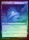��FOIL�ۡ�������ư����ɥ饴�����/Roiling Dragonstorm[��U]��TDM��