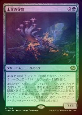 ��FOIL�ۡ�������Ω�μ���/Warden of the Grove[��R]��TDM��