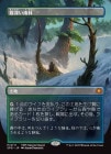 ̸/Misty Rainforest[MR]SPG-TDM