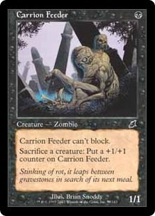 �ڱѡۻ������餤/Carrion Feeder[��U]��SCG��