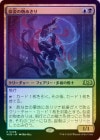 òʡץޡաFOILۡۻѤʪ/Likeness Looter[¿R]WOE