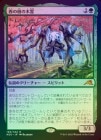 òʡץޡաFOILۡμ/Kodama of the West Tree[MR]NEO