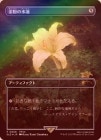 FOILۡ۶ʴοϡ/Gilded Lotus̵PۡSLD