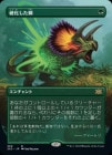 òʡEX۹Ų/Hardened Scales[R]2X2[ܡ쥹]