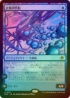 ��FOIL�ۡ����۹���������/Synthesizer Labship[��R]��EOE��