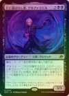 FOILۡФФ줷ԡե饨/Alpharael, Stonechosen[MR]EOE