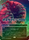 �ڥ���饯����FOIL�ۡ������ܤ궸������/Raging Ravine[No.125][����R]��EOS��