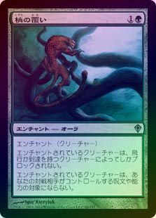 ���ò��ʡ�����EX����FOIL�ۡ����۾���ʤ��/Canopy Cover[��U]��WWK��