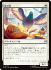 �����۳���ȷ/City Pigeon[��C]��SPM��