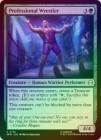��FOIL�ۡڱѡۥץ��쥹�顼/Professional Wrestler[��C]��SPM��