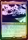��FOIL�ۡ�����������ݡ����롢���ݥå�/The Spot, Living Portal[¿��R]��SPM��