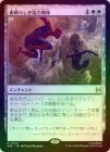��FOIL�ۡ����������餷�����ϴط�/Amazing Alliance[��R]��SPE��