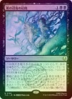 ��FOIL�ۡ�����̸�ξ��Ϥθ���/Foggy Swamp Visions[��R]��TLA��