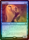 ��FOIL�ۡ����ۥҥҤ�����/Baboon Spirit[��R]��TLE��